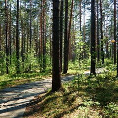 База отдыха Над Енисеем, Красноярский край