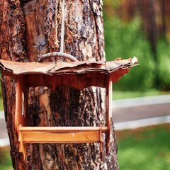 База отдыха Над Енисеем, Красноярский край