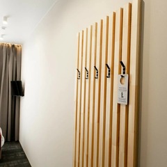 Гостиница Петра, Петрозаводск, Республика Карелия