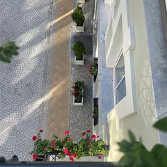 Отель Mr. Justs Hotel, Калининградская область