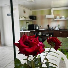 Гостевой дом Гиацинт, Краснодарский край