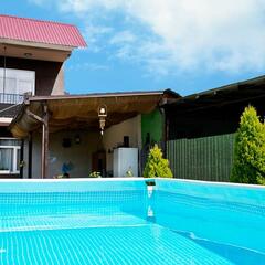 Гостевой дом Уютный дворик, Сочи, Краснодарский край