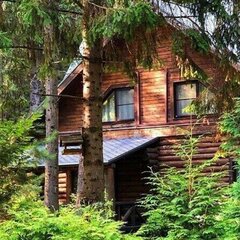 Эко-отель Романов лес, Костромской район, Костромская область