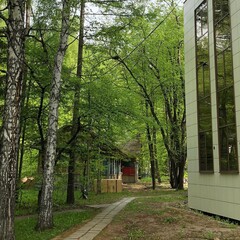 Санаторий Лесной, Новосибирская область