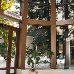 Санаторий Лесной, Новосибирская область