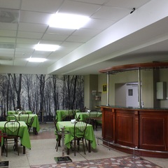 Санаторий Лесной, Новосибирская область