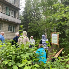 Санаторий Лесной, Новосибирская область