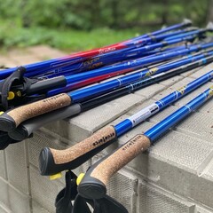 Санаторий Лесной, Новосибирская область