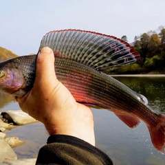 Турбаза Ослянка.Рассольный Джип59.рф, Пермский край