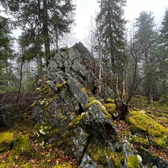 Турбаза Ослянка.Рассольный Джип59.рф, Пермский край