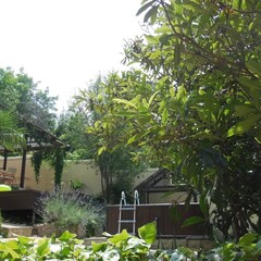 Гостевой дом Рита, Сочи, Краснодарский край