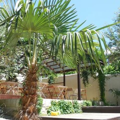 Гостевой дом Рита, Сочи, Краснодарский край