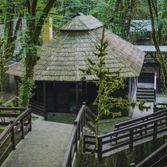 Эко-отель Голицыно, Сочи, Краснодарский край