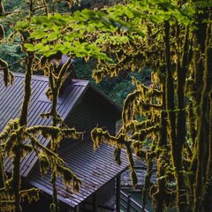 Эко-отель Голицыно, Сочи, Краснодарский край