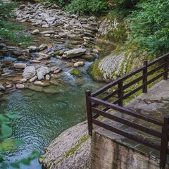 Эко-отель Голицыно, Сочи, Краснодарский край
