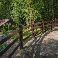 Эко-отель Голицыно, Сочи, Краснодарский край