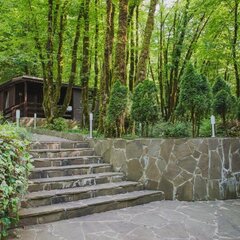 Эко-отель Голицыно, Сочи, Краснодарский край