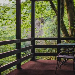 Эко-отель Голицыно, Сочи, Краснодарский край