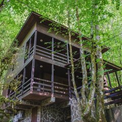 Эко-отель Голицыно, Сочи, Краснодарский край