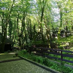 Эко-отель Голицыно, Сочи, Краснодарский край