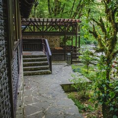 Эко-отель Голицыно, Сочи, Краснодарский край