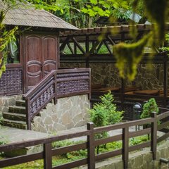 Эко-отель Голицыно, Сочи, Краснодарский край