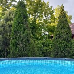 Загородный дом Pinebrook, Ростовская область