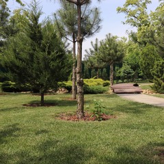 Загородный дом Pinebrook, Ростовская область