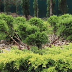 Загородный дом Pinebrook, Ростовская область