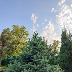 Загородный дом Pinebrook, Ростовская область