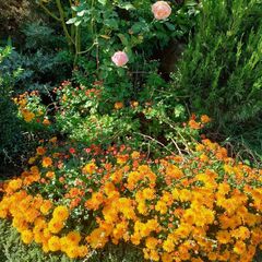 Загородный дом Pinebrook, Ростовская область