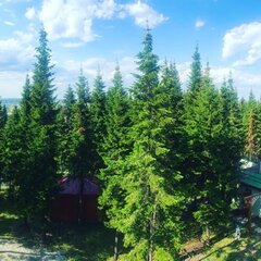 Гостиница Русь, Республика Удмуртия