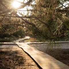 Глэмпинг Синий Яр, Ростовская область