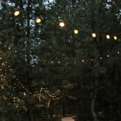 Глэмпинг Синий Яр, Ростовская область