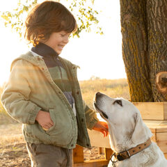 Глэмпинг Синий Яр, Ростовская область