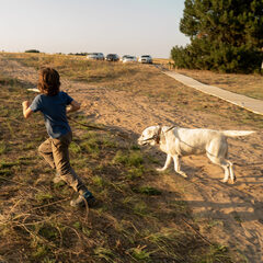 Глэмпинг Синий Яр, Ростовская область