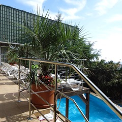 Гостевой дом Рай, Алушта, Крым