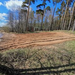 Гостевой комплекс Тихий лес, Ижевск, Республика Удмуртия