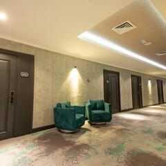 Отель Vis Palm Hotel, Гянджа