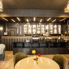 Отель Vis Palm Hotel, Гянджа