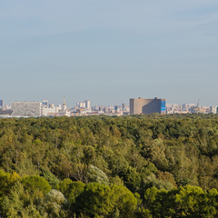 Гостиница Sky garden , Москва, Московская область