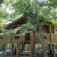 База отдыха Дон, Городищенский район, Волгоградская область