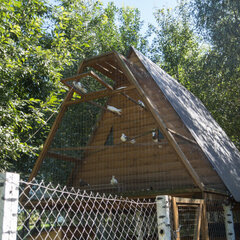 База отдыха Серебряный Ключ, Десногорск, Смоленская область