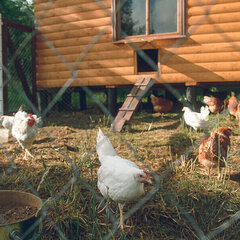 База отдыха Серебряный Ключ, Десногорск, Смоленская область