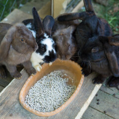 База отдыха Серебряный Ключ, Десногорск, Смоленская область