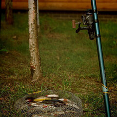 База отдыха Серебряный Ключ, Десногорск, Смоленская область