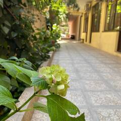 Гостевой дом На Калараша, Сочи, Краснодарский край