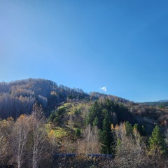 Гостевой комплекс Глэмпинг 11, Белокуриха, Алтайский край