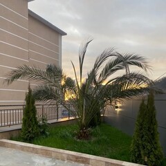 Отель Династия, Сочи, Краснодарский край