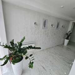 Отель Династия, Сочи, Краснодарский край